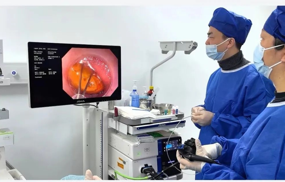 不小心吞了菠萝蜜的核第二天想吐,女子误吞枣核两年才取出来