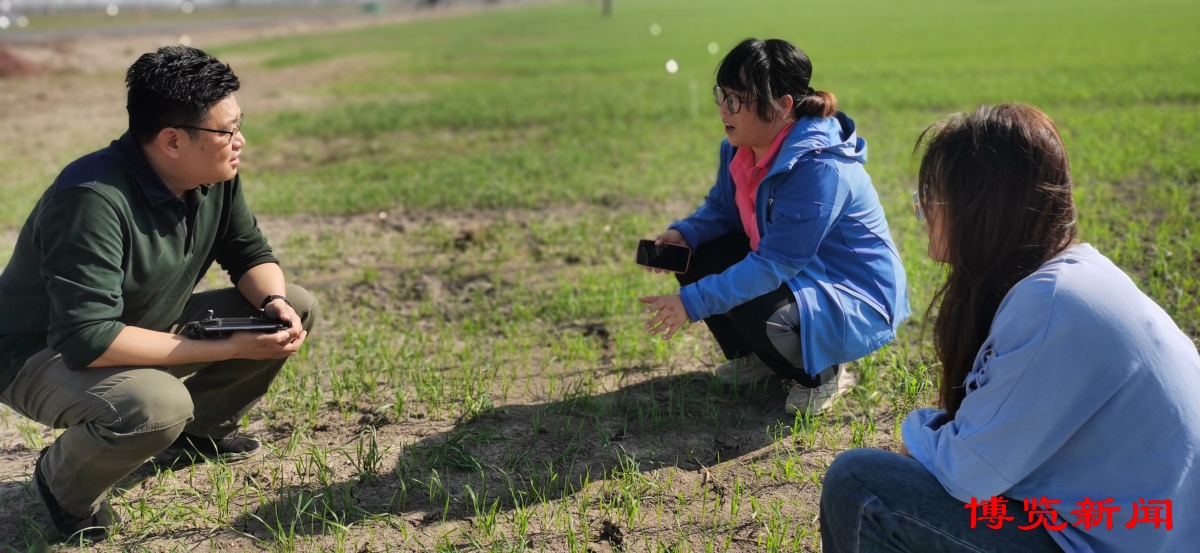 走进千强镇|唐山镇演绎“膜法传奇”