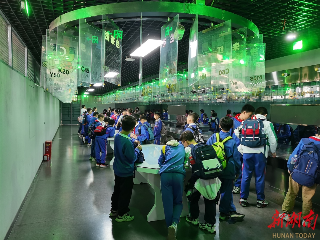 砂子塘新世界小学的地址,砂子塘新世界小学北门