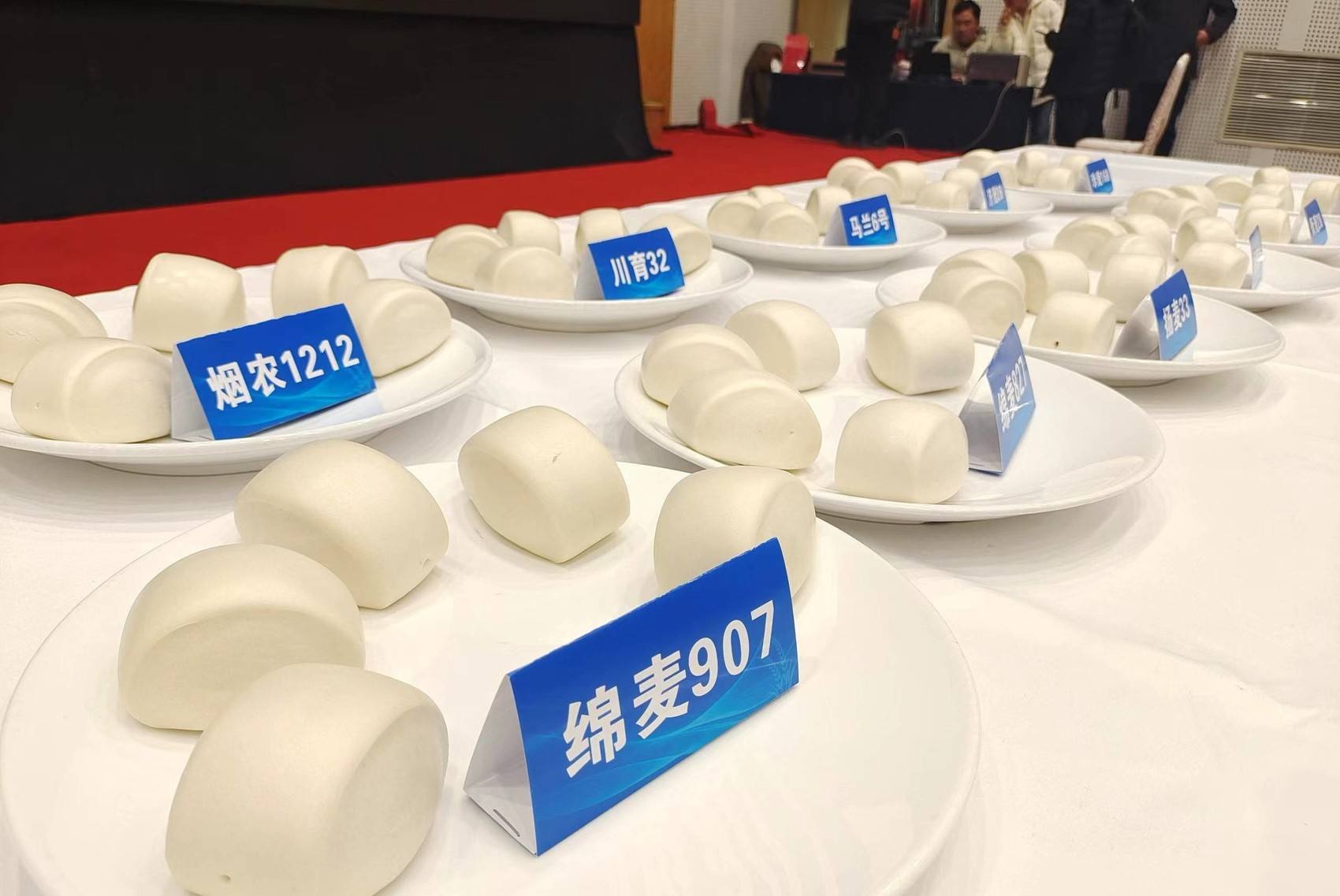 科创未来小制作,低筋小麦粉做馒头的方法