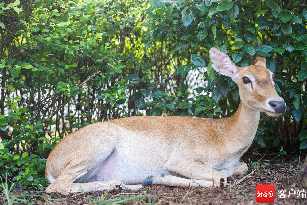 醉美东方园林游记,醉美东方城