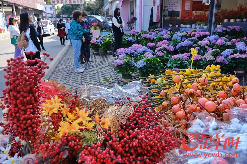 广州年花的品种名称价格,今年广州花卉市场行情