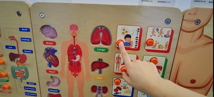 在家里自制小型游乐场,家里自制游乐区