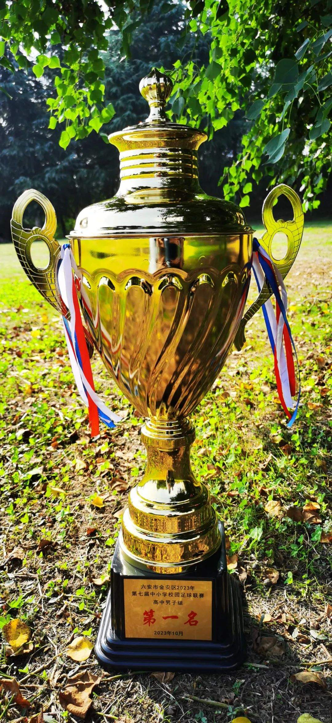 2021毛中东校喜报,毛中东校2021年喜报