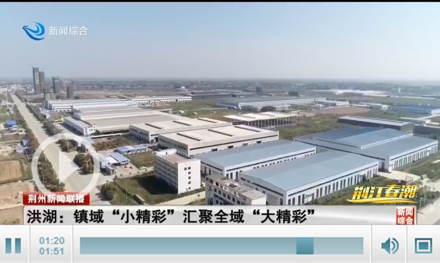 【荆江春潮】洪湖：镇域“小精彩”汇聚全域“大精彩”