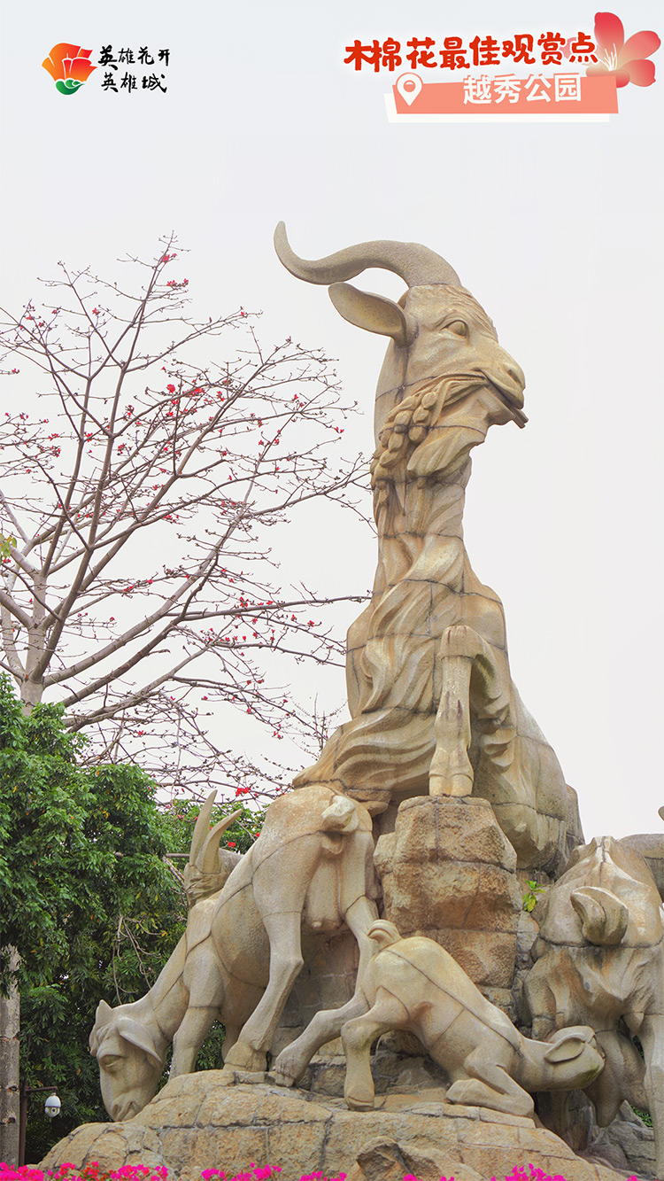 2022广州英雄城英雄花,广州英雄广场木棉花