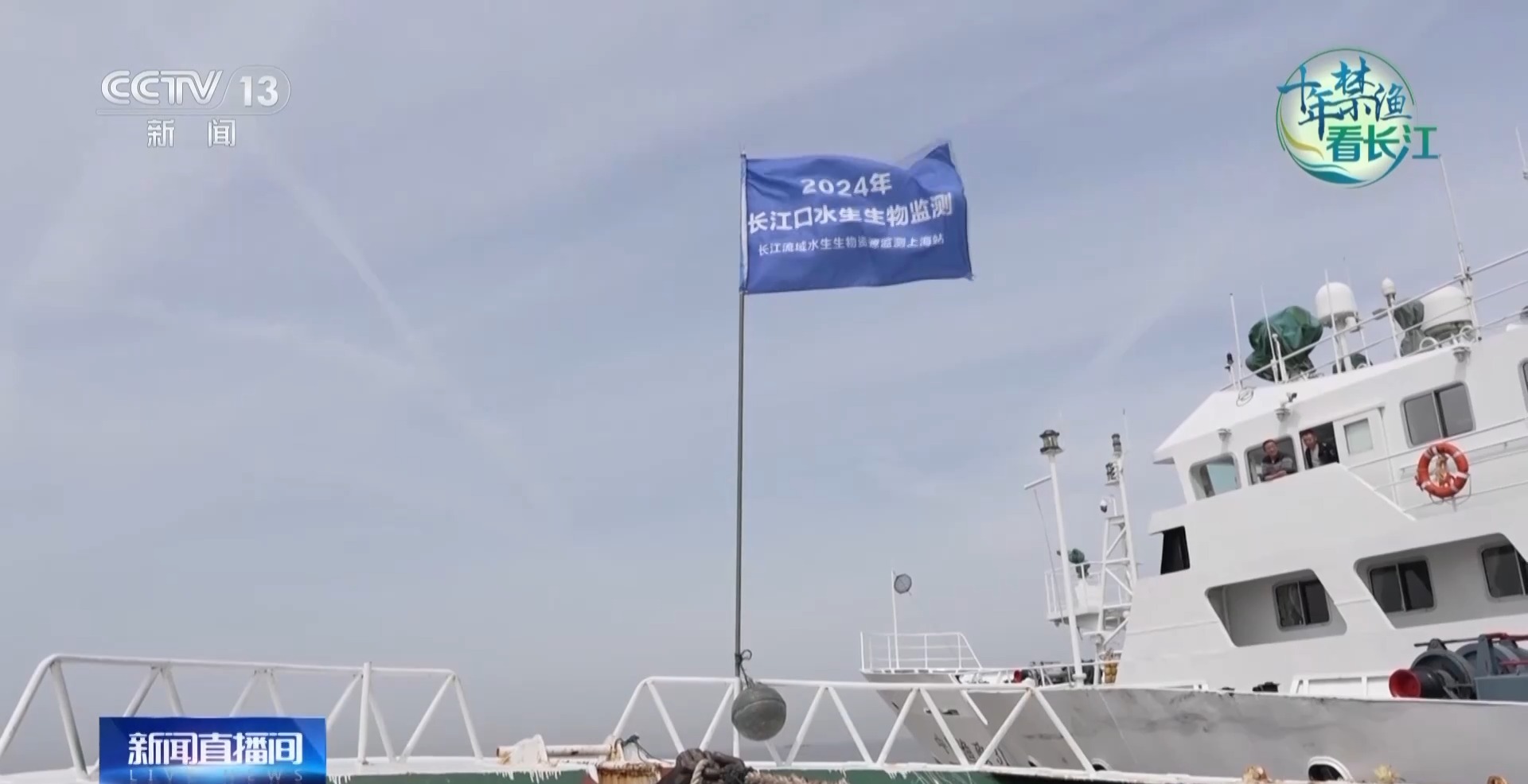 长江禁渔鱼类数据变化,长江禁渔三年多鱼儿们过得怎么样