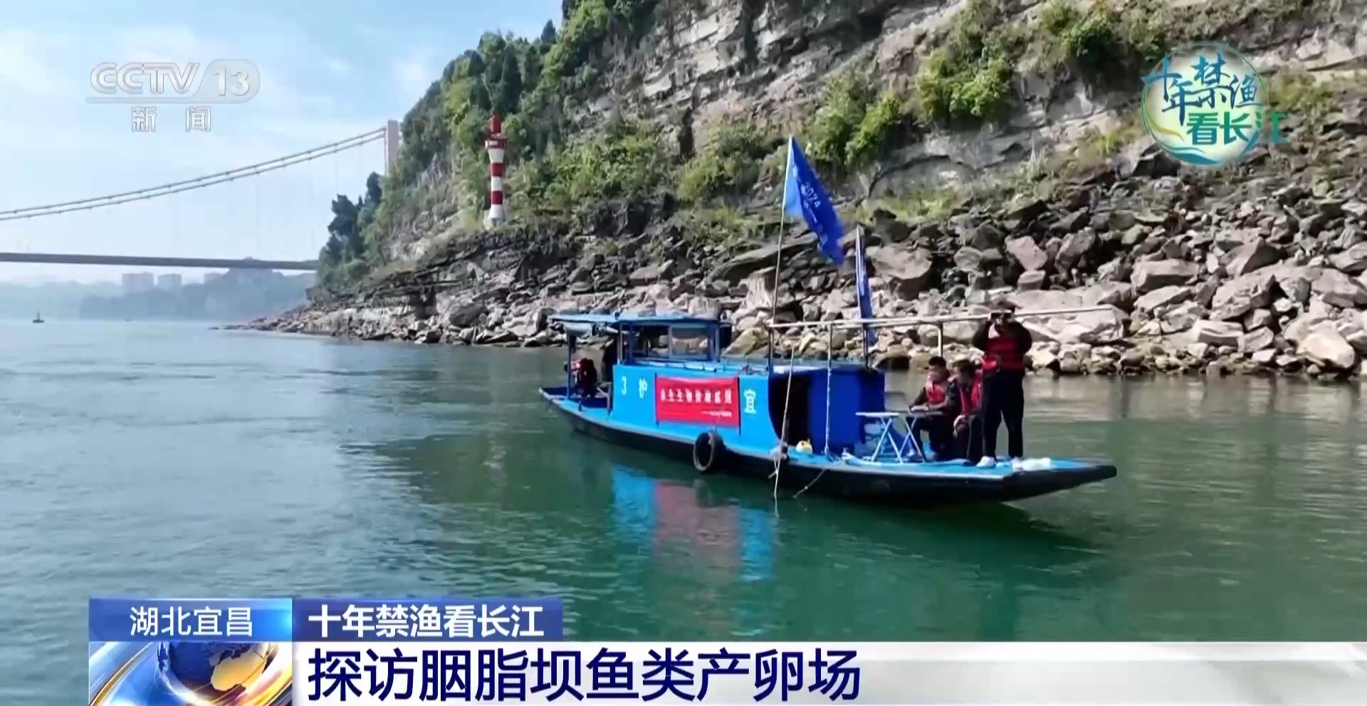 长江禁渔鱼类数据变化,长江禁渔三年多鱼儿们过得怎么样