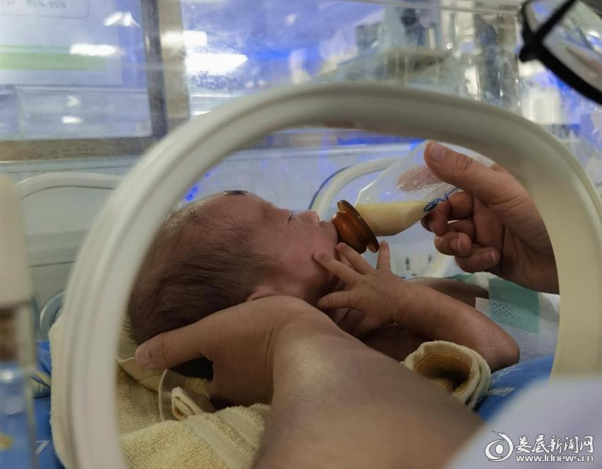 娄底三胞胎,三胞胎闯关