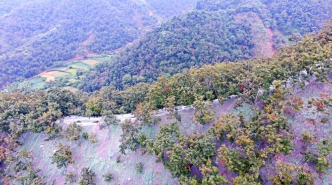 山核桃怎么把仁挑出来,如何剥出完整的山核桃