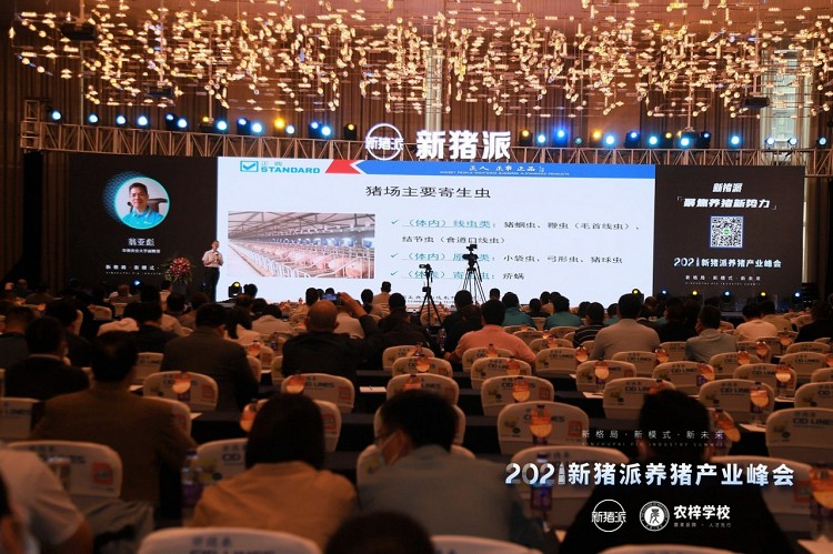 猪场降本增效的方法和措施,种猪猪场降本增效的方法和措施