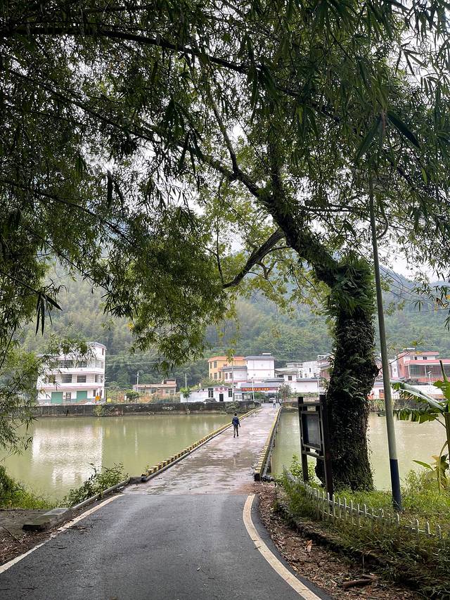 省道244自驾游攻略,最美228国道公路自驾游攻略