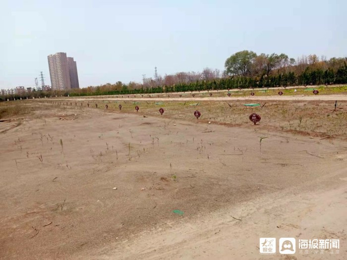 买房送菜地这菜地还需要交租金吗,垦利平安秀水湾交房