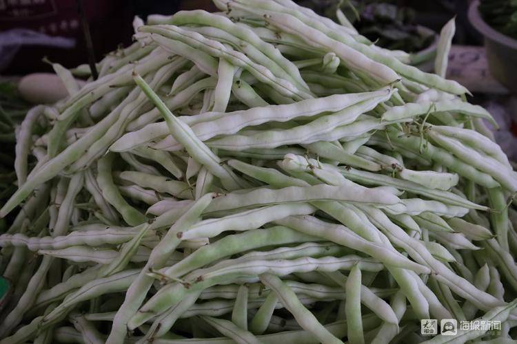 市民菜篮子有保障,市民菜篮子的视频