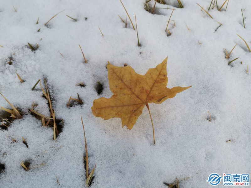 今日立冬有哪些传统习俗立冬是什么意思？立冬吃什么好？