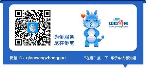 国外如何防诈骗,海外华人被诈骗怎么报警