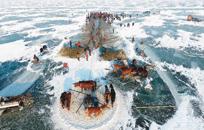 查干湖冬捕视频完整版,查干湖鱼