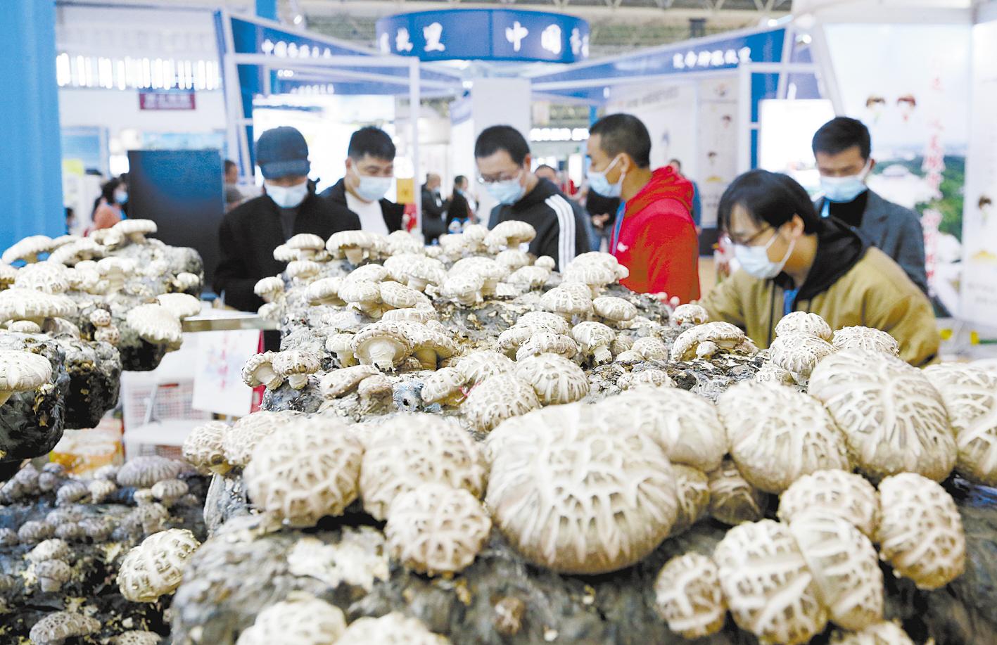 农博会特色菜谱,湖北农博会好吃的东西