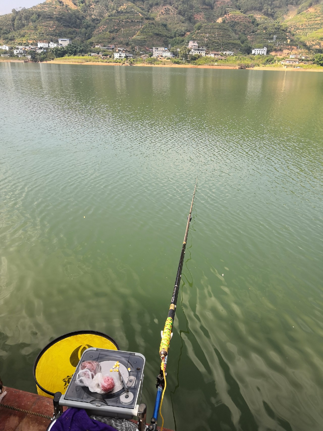 梅子姐这次选了没有打窝的钓位，渔获究竟如何呢