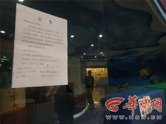 西安鱼乐贝贝最新状况,鱼乐贝贝西安