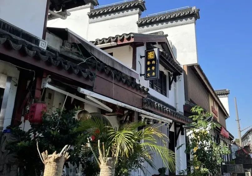 聚焦“一核一区一带”、规划新建10所学校……七宝，未来可期丨“一把手”话新图景