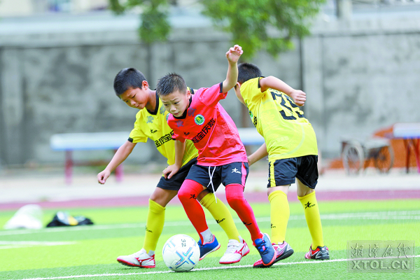 雨湖区探索推进学校体育“三五”评价体系改革