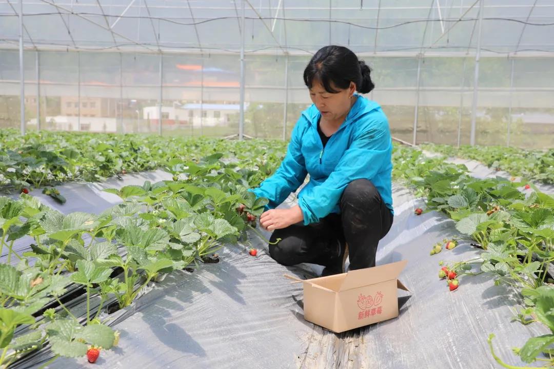 生态环境看哪里,生态看小米