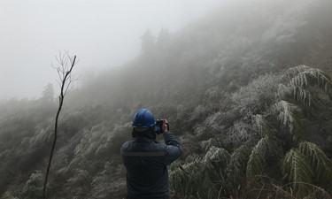 鍗楀畞閭曟睙杈圭櫧妗︽灄,寰堢鐒剁殑姊楁潵鑷皝