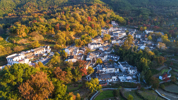 黄山国家级森林康养基地,黄山国家级自然保护区