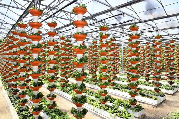 推动农业高质量发展力促农民增收,财政金融如何助推农业高质量发展