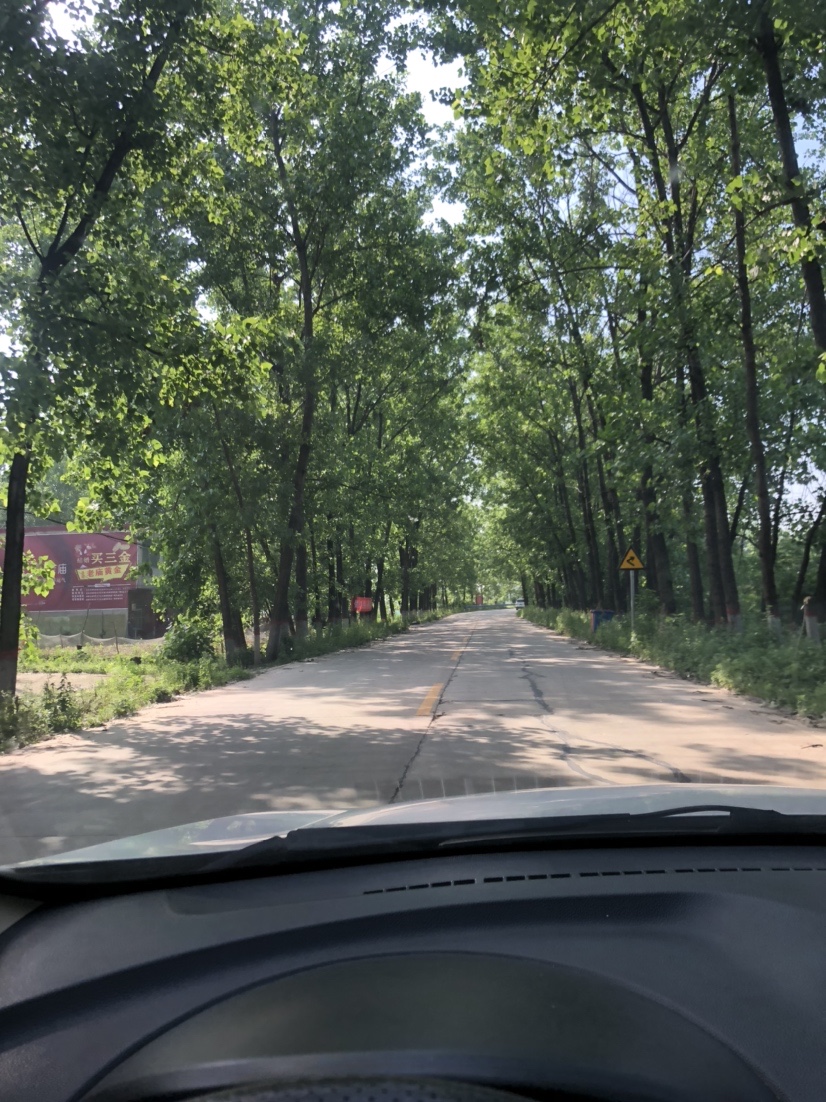 2021打龟爆护同在，未来渔你同行