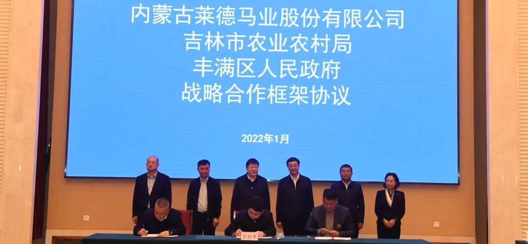 莱德马文化度假公园,莱德马业发展前景