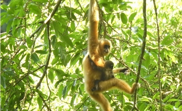 「开局十四五」海南:中国最大特区“买全球”“卖全球”聚四方之才筑国际自贸港高地