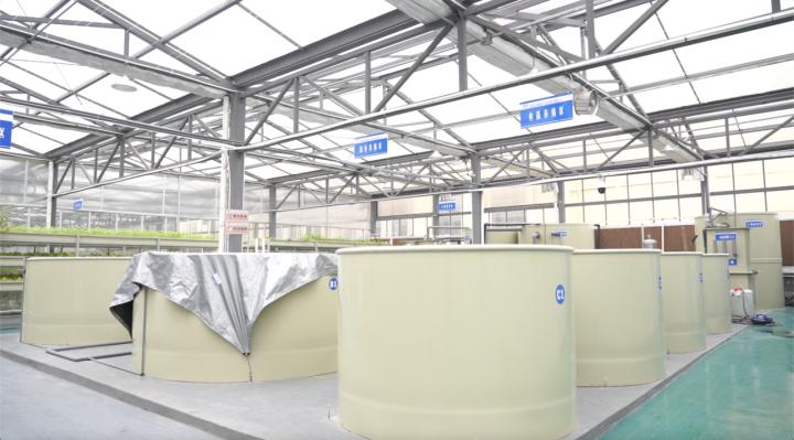 德清：“农业梦工厂”鱼菜卖断货