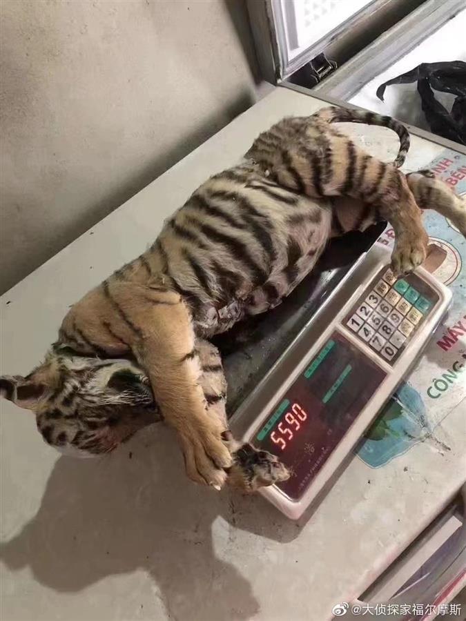 河南男子回应“千元一斤卖老虎肉”：网购鹿肉冒充的