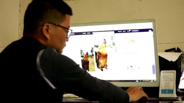 90后大学生张海彪：回乡创业当农民闯出一片新天地