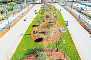 阳春市道路改造,阳宗海阳春大道