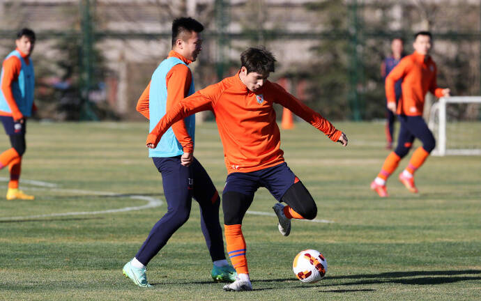 山东泰山队最新训练,泰山队近期训练