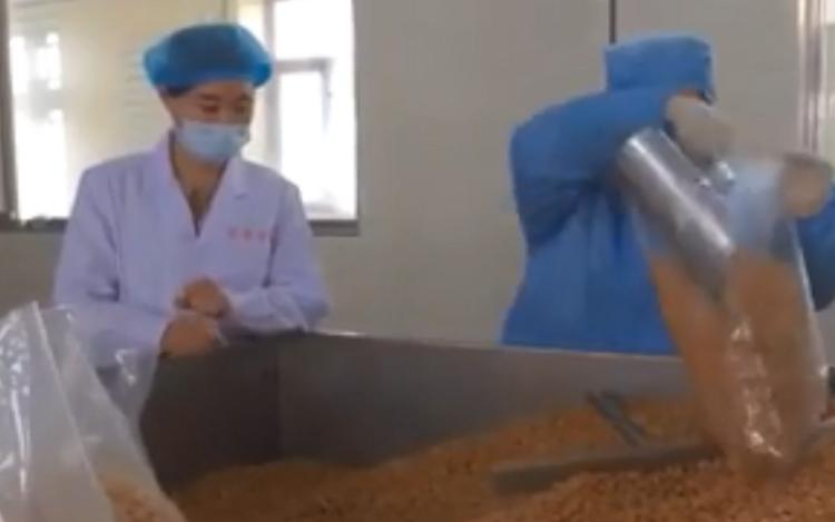 新农人努力拼搏的样子,新农人唤醒乡村新活力