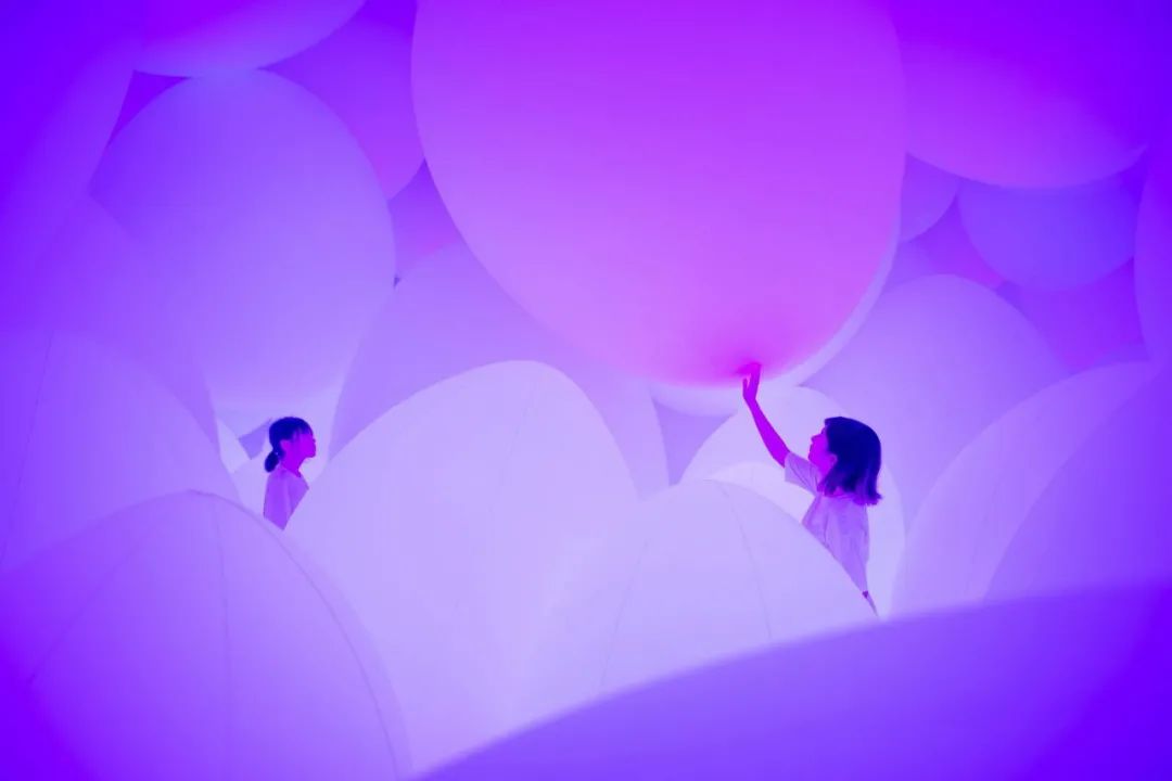 偏爱紫色的人浪漫,偏爱紫色的人是什么原因