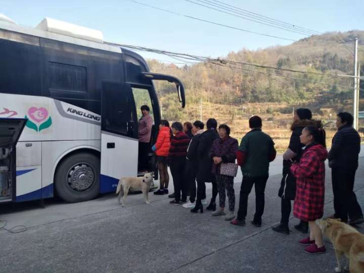 基层“两癌”筛查现状|明明显示初筛阳性，为何她还是拖延放弃治疗？