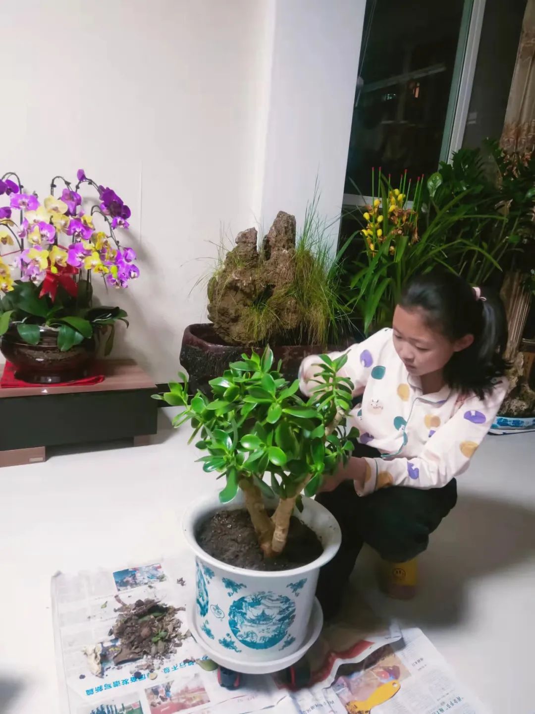 甘肃临洮第三实验小学,双减形式下小学的作业如何改革