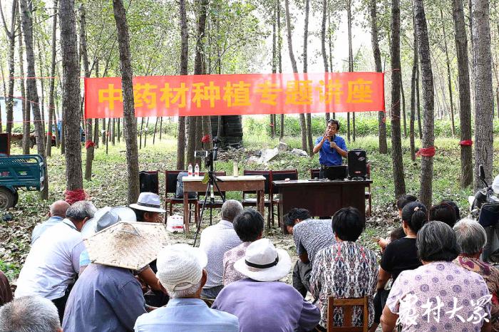中药材深加工前景如何,中药材加工的市场前景