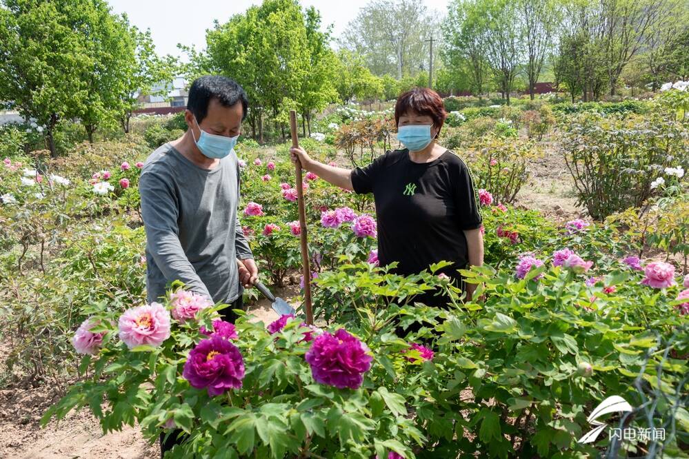 菏泽百花争艳惹人醉,菏泽最著名的牡丹花有什么