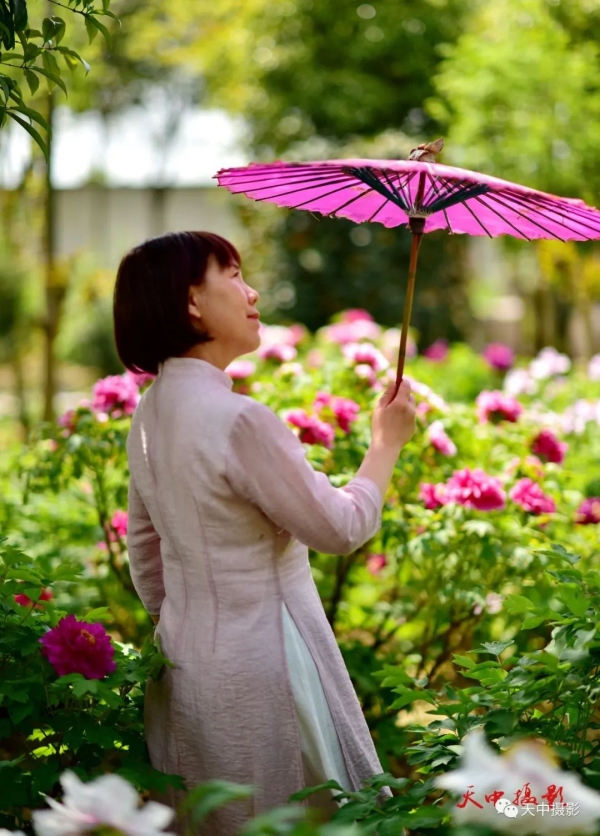 又到牡丹花开时不负光阴不负春