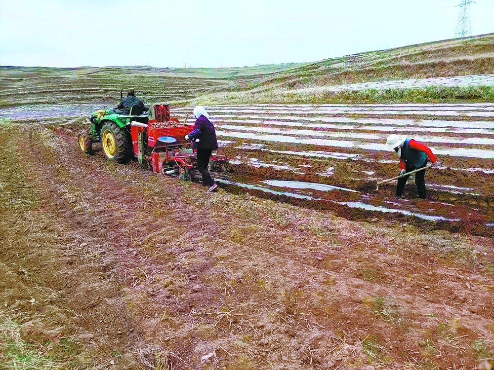 春风得意燕归巢,春回大地燕归巢