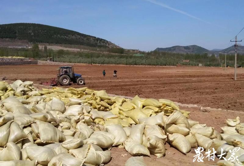 疫情下农民忙采摘,疫情防控期间农业农村工作