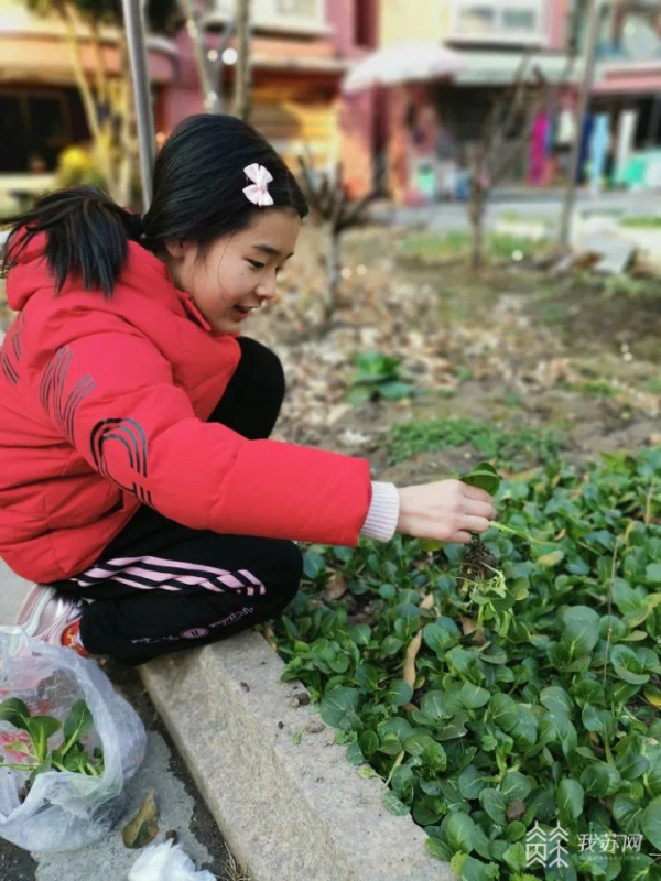 五育并举！看苏州各中小学线上特色课程促进学生全面发展