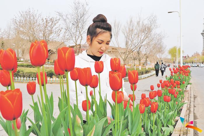 喀什近10年的生态建设,喀什生态环境现状