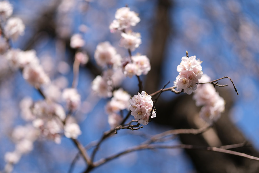 瀵屽＋x鍗″彛150-600,瀵屽＋x鍗″彛23mm鎺ㄨ崘